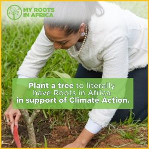 PLANT A TREE